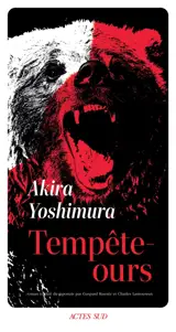Tempête-ours