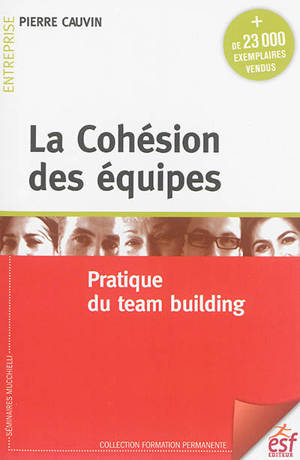 La cohésion des équipes : pratique du team building