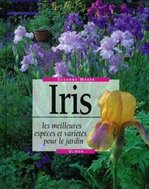 Iris : les meilleures espèces et variétés pour le jardin