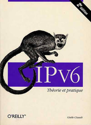 IPv6