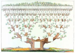 Arbre généa' 7