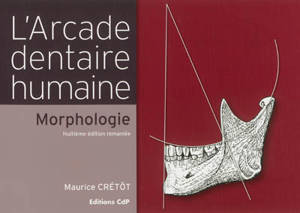 L'arcade dentaire humaine : morphologie