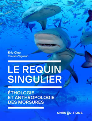 Le requin singulier : éthologie et anthropologie des morsures