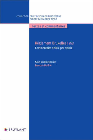 Règlement Bruxelles I bis : commentaire article par article