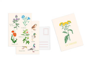 Cartes postales : une collection de 10 cartes postales autour des fleurs