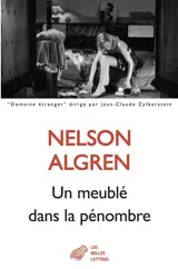 Un meublé dans la pénombre