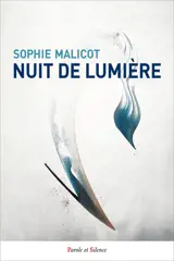 Nuit de lumière