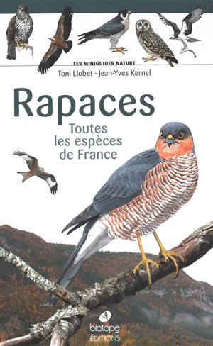 Rapaces : toutes les espèces de France