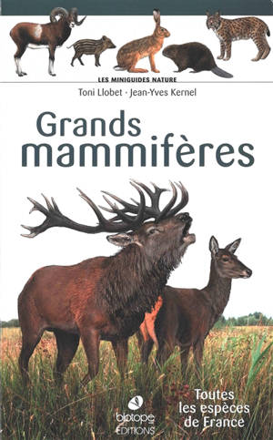 Grands mammifères : toutes les espèces de France
