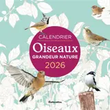 Oiseaux grandeur nature : calendrier 2026