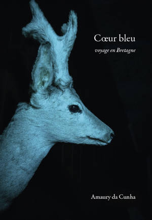 Coeur bleu : voyage en Bretagne