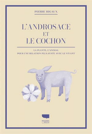 L'androsace et le cochon