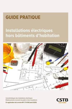 Installations électriques des bâtiments à usage professionnel et recevant du public : en application de la norme NF C 15-100 (août 2024)