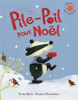 Pile-poil pour Noël