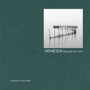 Venezia : beyond the icon