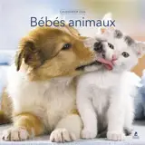 Calendrier Bébés Animaux 2026