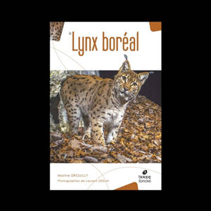 Le lynx boréal
