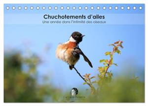 Chuchotements d'ailes : Une année dans l'intimité des oiseaux (Calendrier de bureau 2026 DIN A5 vertical), CALVENDO calendrier mensuel : Un calendrier poétique qui dévoile, mois après mois, la grâce et l’intimité des oiseaux dans la splendeur de leur