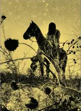 Aux ombres : un essai visuel documentaire sur les chevauchées Lakota. To the shadows : a visual documentary essay about Lakota rides