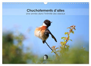 Chuchotements d'ailes : Une année dans l'intimité des oiseaux (Calendrier mural 2026 DIN A3 vertical), CALVENDO calendrier mensuel : Un calendrier poétique qui dévoile, mois après mois, la grâce et l’intimité des oiseaux dans la splendeur de leurs in