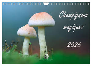 Champignons magiques (Calendrier mural 2026 DIN A4 vertical), CALVENDO calendrier mensuel : Un calendrier fascinant qui met en lumière, mois après mois, la diversité et la beauté mystérieuse des champignons.