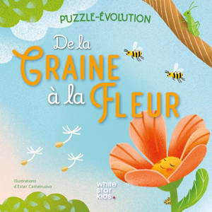 De la graine à la fleur : puzzle-évolution