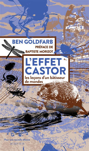 Bâtisseurs de mondes : le génie des castors face au défi climatique