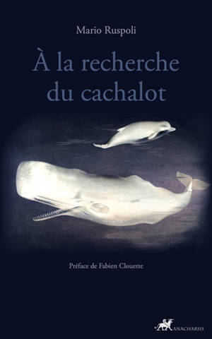 A la recherche du cachalot