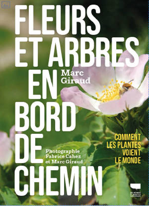 Fleurs et arbres en bord de chemin
