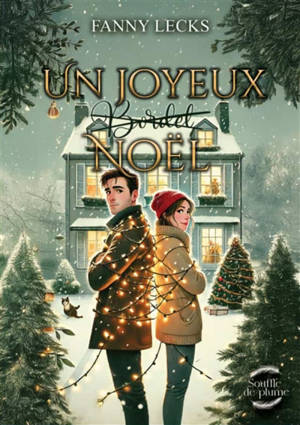 Un joyeux (bordel) noël