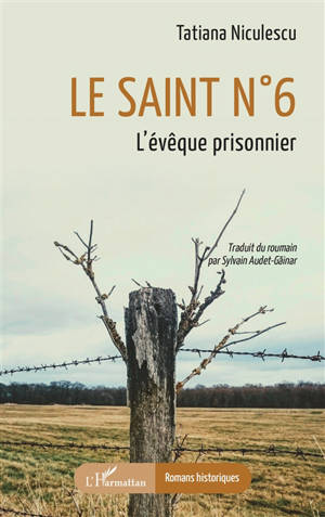 Le saint n°6 : l'évêque prisonnier