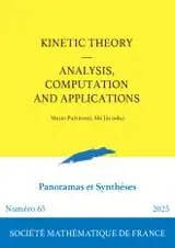 Kinetic theory : analysis, computation and applications