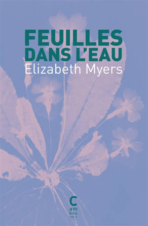 Feuilles dans l'eau