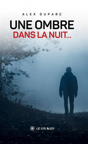 Une ombre dans la nuit...