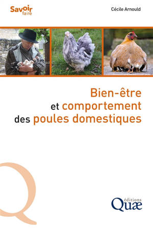 Bien-être et comportement des poules domestiques