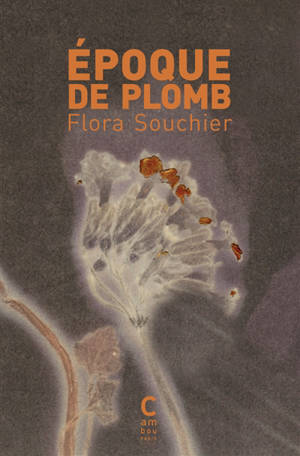 Epoque de plomb