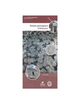 Balade géologique à Briançon