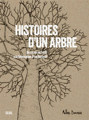 Histoires d'un arbre : de sa vie en forêt à la fabrication d'un fauteuil