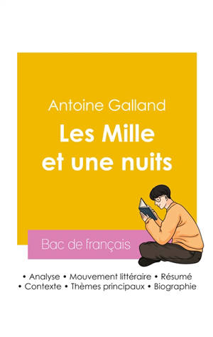 Réussir son Bac de français 2026 : Analyse des contes Les Mille et une nuits de Antoine Galland