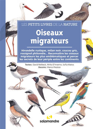 Oiseaux migrateurs : hirondelle rustique, milan  noir, coucou gris, rossignol philomèle... : reconnaître les oiseaux migrateurs les plus emblématiques et percer les secrets de leur périple entre les continents