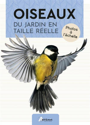 Oiseaux du jardin en taille réelle