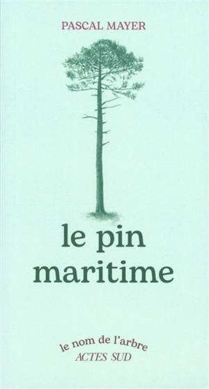 Le pin maritime