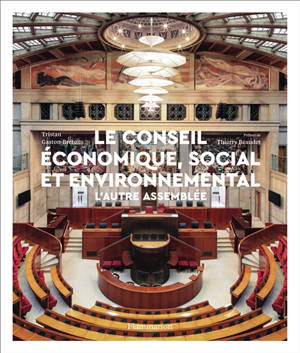 Le Conseil économique, social et environnemental : l'autre assemblée