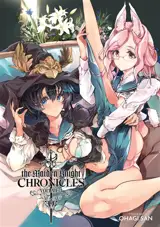 The maiden knight chronicles. Vol. 3