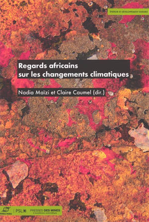 Regards africains sur les changements climatiques