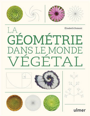 La géométrie dans le monde végétal