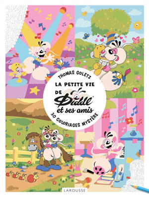 La petite vie de Diddl et ses amis : colo mystère