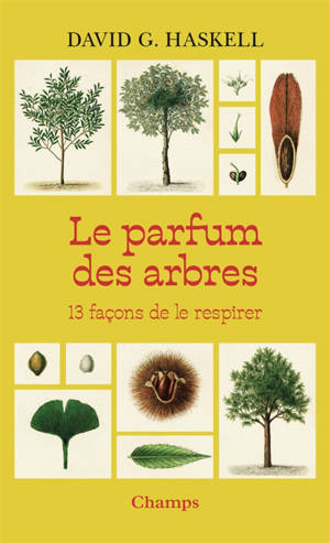 Le parfum des arbres : 13 façons de le respirer