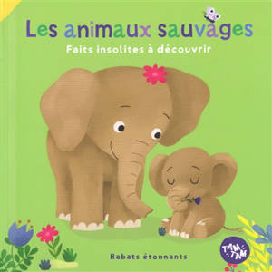 Les animaux sauvages : faits insolites à découvrir