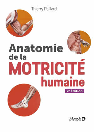 Anatomie de la motricité humaine